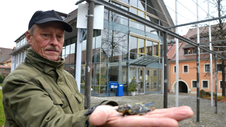 Reinhard Orsakowsky ist ehrenamtlich beim Senckenbergmuseum in Görlitz aktiv. Er ist nicht der Einzige, der mehrmals tote Vögel am Rathaus fand.