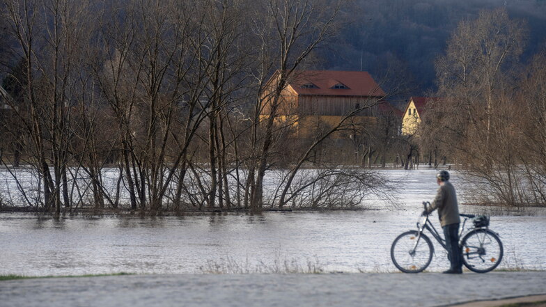 Während des jüngsten Hochwassers war auch der Elberadweg in Radebeul teilweise überflutet.