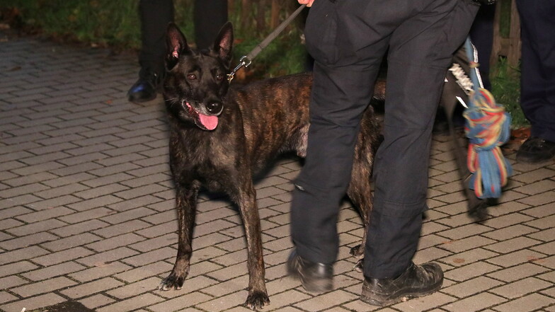 Die Polizei setzte auch einen Hund bei der Suche nach den Insassen ein.