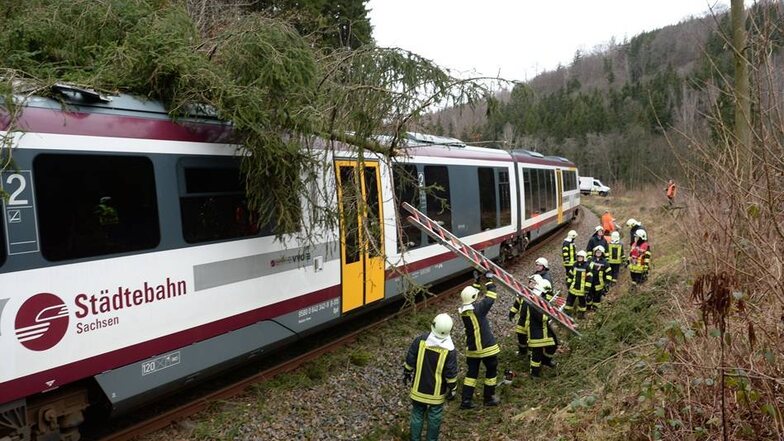 Ein Baum stürzt auf einen Zug der Müglitztalbahn in Bärenhecke. Der Zugbetrieb ist für Stunden unterbrochen.