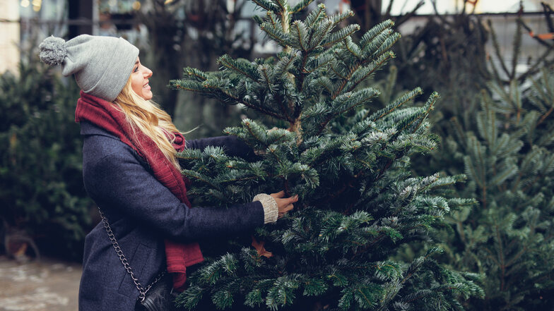 Es gibt ein paar Dinge, die man beim Weihnachtsbaum-Kauf und bei der Lagerung beachten sollte, damit man lange Freude an der geschmückten Tanne hat.