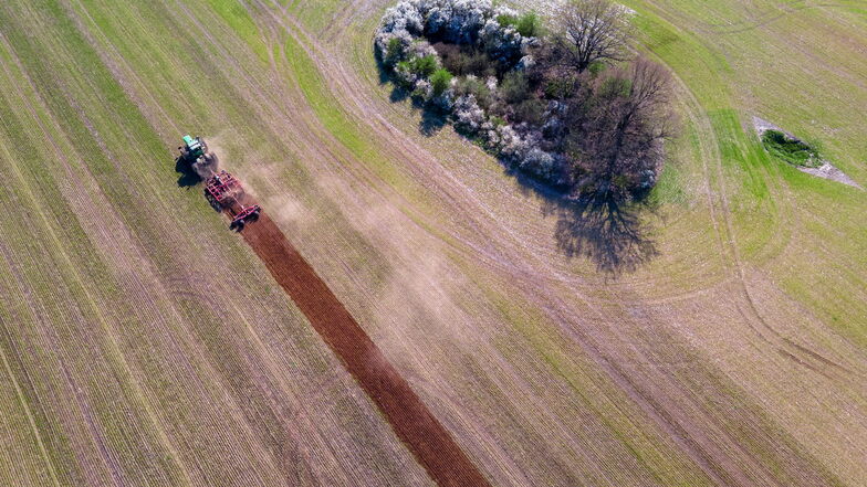 Ein Traktor zieht eine Egge über ein Feld und bereitet die Frühjahrs-Aussaat vor.