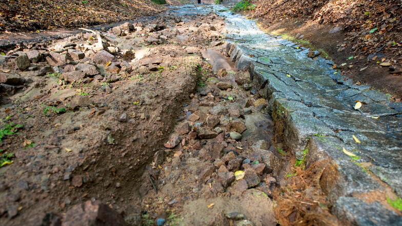 Der Rieselgrundweg wurde am 10. August 2020 nach einem sehr heftigen Regenguss stark beschädigt. Wassermassen stürzten ungebremst ins Tal des Lößnitzgrundes.