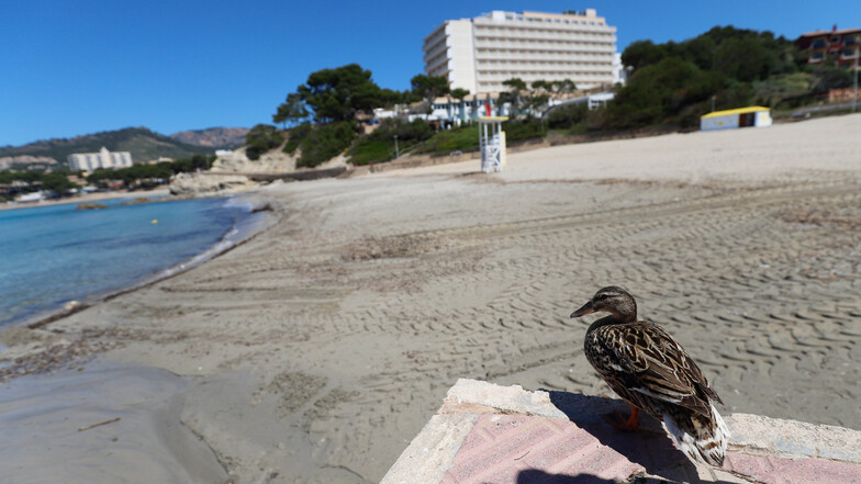 Nichts los in Spanien, wie hier am Strand von Paguera auf der Insel Mallorca.
