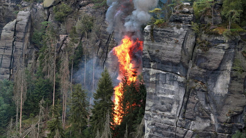 Die Sächsische Schweiz wurde diesen Sommer von mehreren Bränden heimgesucht.