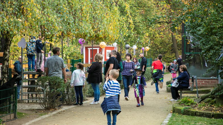 Bei der Halloween-Veranstaltung im Oktober 2022 kamen allein fast 5.500 Besucher in den Riesaer Tierpark.