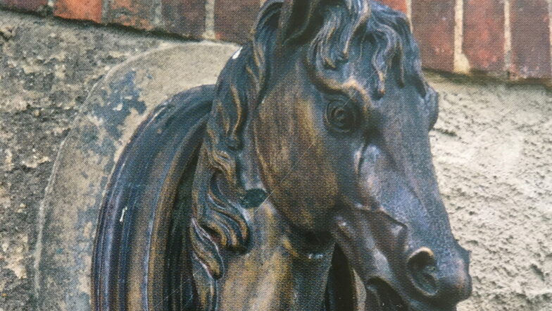 Der Fallada-Pferdekopf hing früher an einem alten Stall am Schönfelder Schloss und erinnerte an die Pferdezucht des Freiherren von Burgk.