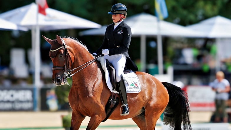 Doppel-Olympiasiegerin Dorothee Schneider gewann die höchstdotierte Prüfung des Görlitzer Dressurturniers mit einer starken Punktzahl.