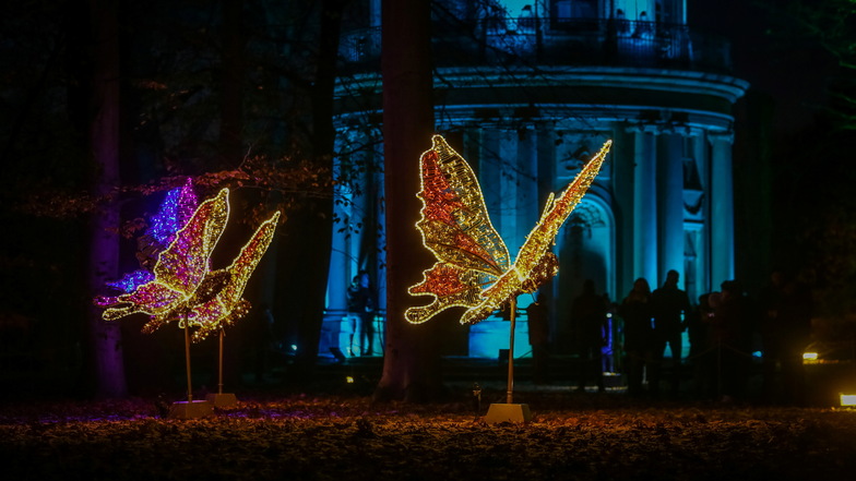 Illuminierte Schmetterlinge sind beliebte Fotomotive, ebenso wie der beleuchtete Englisch Pavillon im Hintergrund.