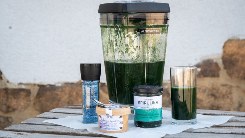 Das Algenwerk vermarktet die frische Spirulina als "Dresdens grünes Wunder". In dem Mixer ist ein Smoothie zu sehen, dem die Alge seine intensive Farbe gegeben hat.