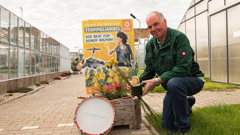 Armin Rühle vom gleichnamigen Gartenbaubetrieb in Zabeltitz präsentiert die Pflanze des Jahres - den "Trommelwirbel". Beim Tag der offenen Gärtnerei am Sonnabend konnte er sich über regen Kundenbesuch freuen.