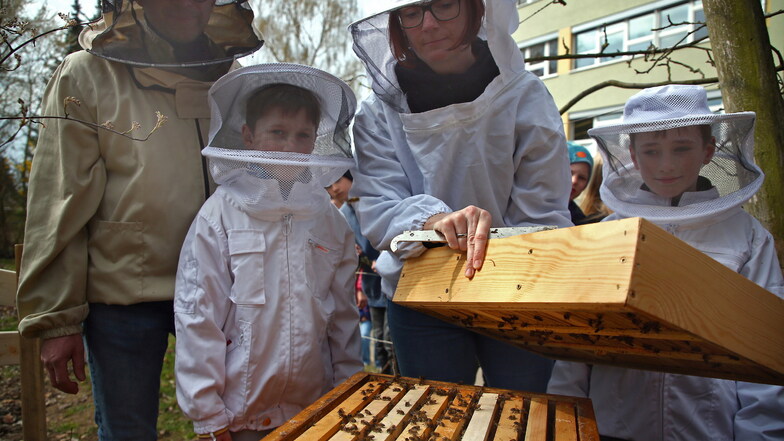Imkerin Yvonne Hickmann zeigt den Schülerinnen und Schülern das Leben in den Bienenkästen.