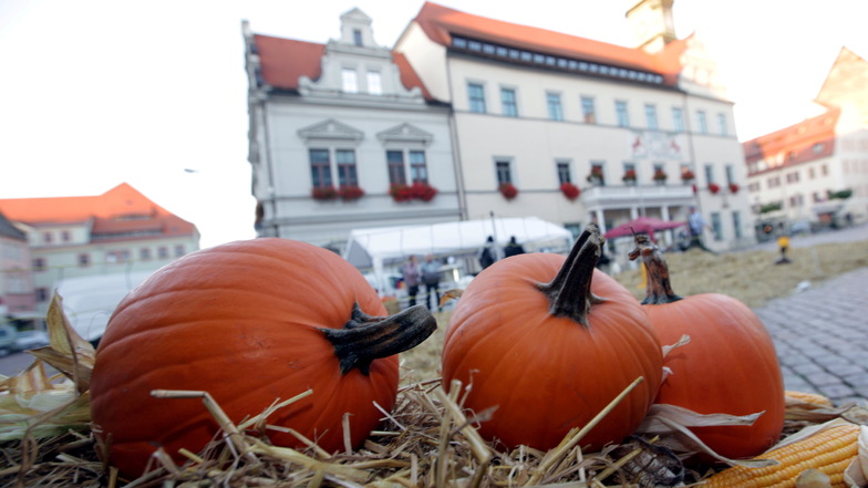 Am 8. und 9. Oktober ist wieder Pirnaer Herbstzauber angesagt. Nur shoppen? Nein, auch das kulturelle Rahmenprogramm stimmt.