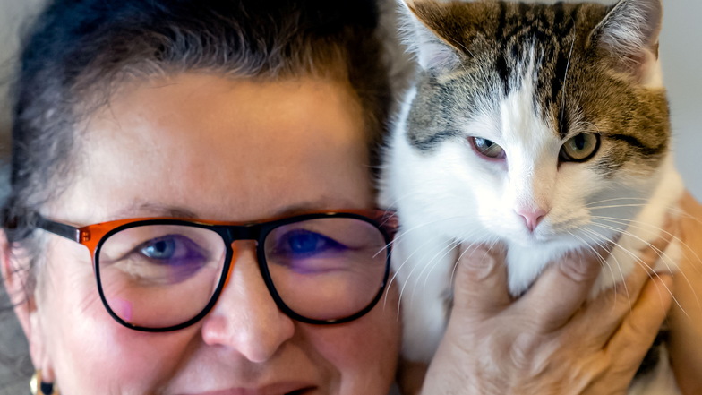 Zu viele Katzen in Sebnitz - Tierschützer schlagen Alarm