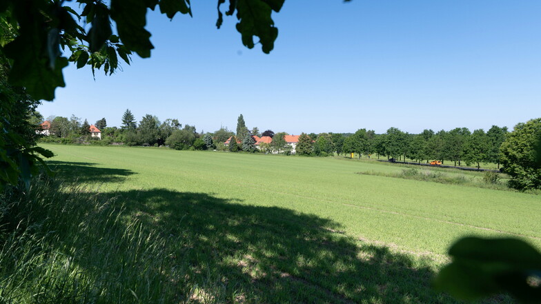 Heute noch landwirtschaftliche Nutzfläche, in ein paar Jahren Gleisschleife samt Parkhaus: Am Taubenberg in Bühlau soll gebaut werden.