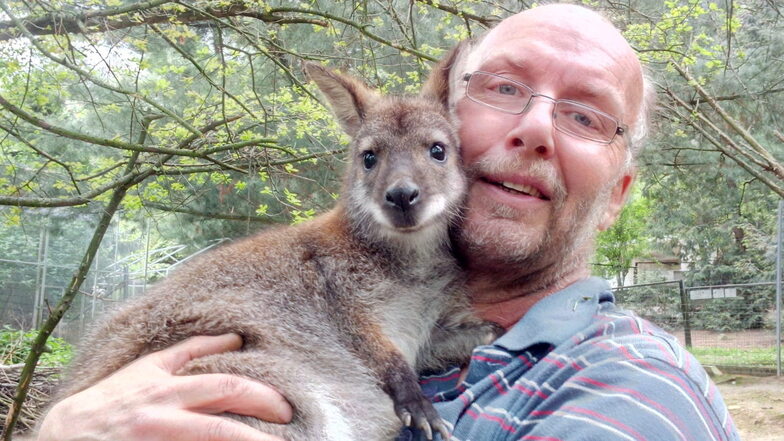 Das Känguru Gertrud ist Heiko Drechsler besonders ans Herz gewachsen. Bei sich zu Hause und in Meißen hat er sie mit dem Fläschchen aufgezogen, weil das Muttertier verstorben war.