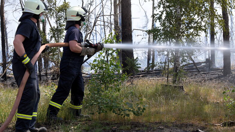 Tschechien: Waldbrand bei Klingenthal gelöscht