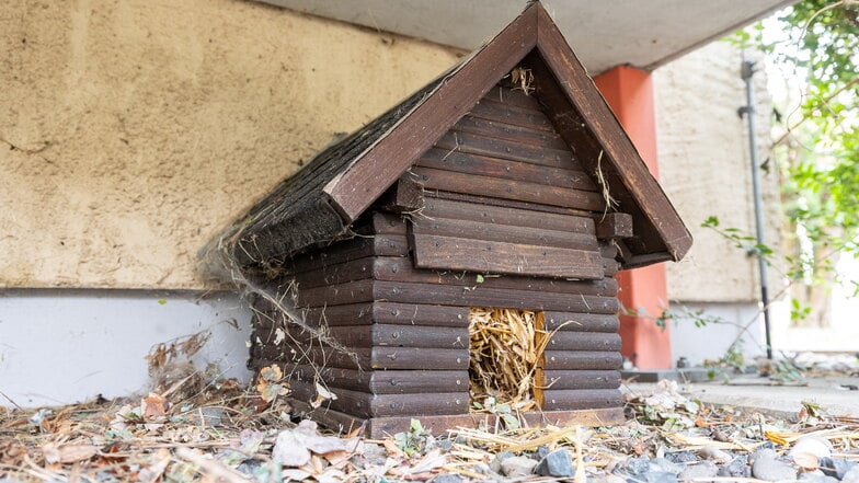 Bisher störte es niemanden, doch nun soll das Igel-Haus unter dem Balkon eines Heidenauer Wohnhauses weg.