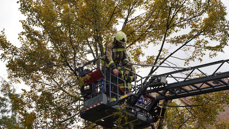 vor allem abgebrochene Äste und umgestürzte Bäume sorgten am Donnerstag für Feuerwehreinsätz.