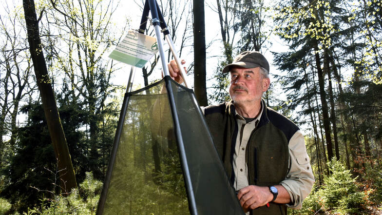 Forstwirt Georg Lindner aus Großröhrsdorf bewirtschaftet 32 Hektar Wald. Viel Freude hat er momentan nicht daran.
