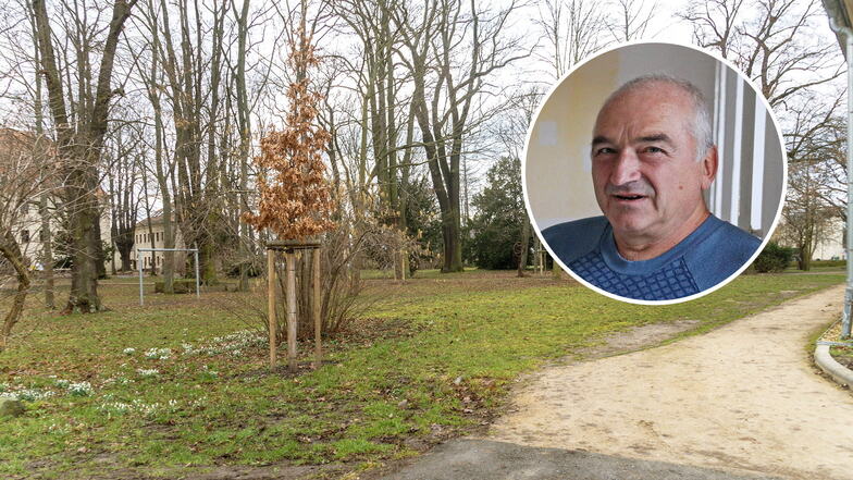 Gröbaer Schlosspark: "Es gibt schon ein bisschen Frust"