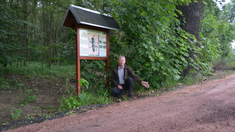 Das Zeug muss wieder raus: Nabu-Regionalchef Volker Wilhelms auf dem befestigten Waldweg durch den Zabeltitzer Röderauwald.