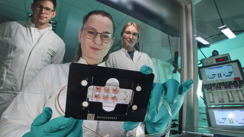 Dresdner Fraunhofer-Forscher haben ein Mikro-Labor entwickelt, mit dem sich neue Krebsmedikamente besser denn je testen lassen.