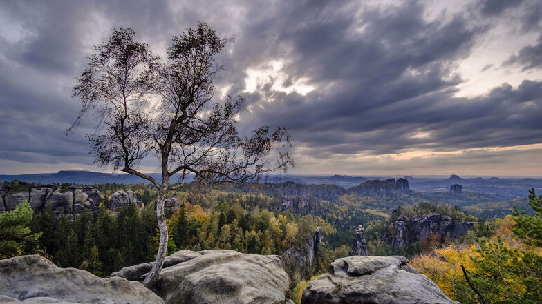 Die Sächsische Schweiz lockt mit traumhaften Ausichten wie auf den Hoher Torstein und den Falkenstein. Insgesamt gibt es im Nationalpark 755 Felsengipfel und 516 Kilometer Wegenetz.