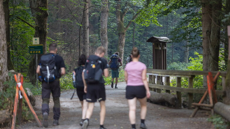 Aktuell dürfen Wanderer ganztags nicht mehr die Wälder im gesamten Landkreis Sächsische Schweiz-Osterzgebirge betreten.