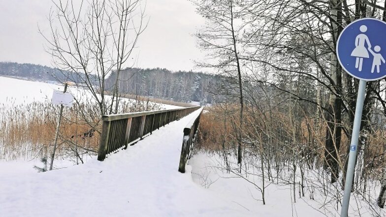 Die 200 Meter lange Braunsteichbrücke führt in ein geschütztes Erholungsgebiet. Verwitterung und Abnutzung haben ihr stark zugesetzt. Was eine Sanierung kosten würde, soll ein Experte jetzt ermitteln.