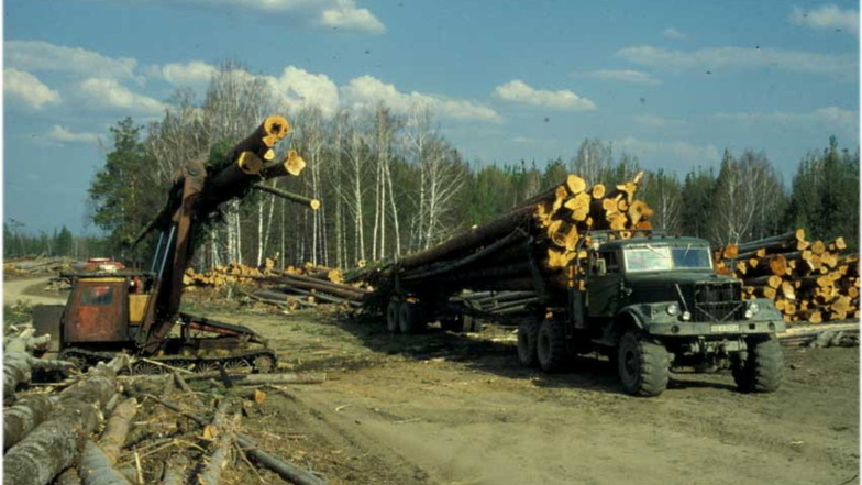 "Völlig anderer Bezug zum Wald." Albrecht Bemmann fotografiert 1983 die russische Kahlschlagswirtschaft in Ostsibirien.