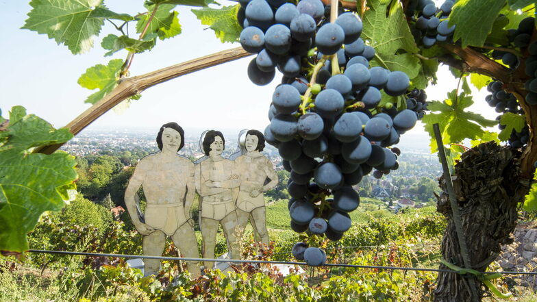 Das Weingut Drei Herren bietet nicht nur Kunst im Weinberg, sondern auch ausgezeichnete Weine.