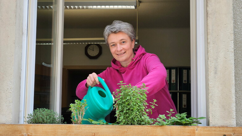 Susanne Russig

ist die Geschäftsführerin vom Territorialverband „Sächsische Schweiz“ der Gartenfreunde e. V.