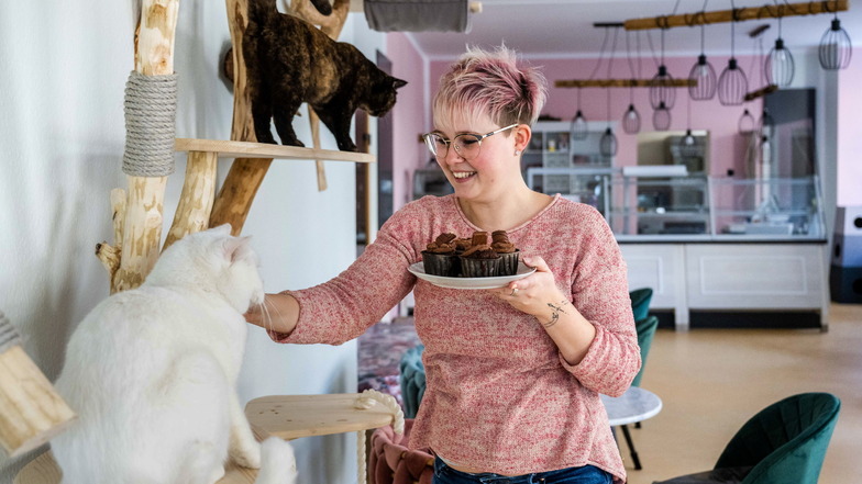 Fransiska Müller, Inhaberin des ersten Katzencafés von Chemnitz, spielt mit Bruno (vorn) und Elfriede. Am 15. Februar eröffnet sie die Katzenlounge "Ciao Mau". Die Gäste können ihre Speisen und Getränke in Gesellschaft von sechs Katzen einnehmen.