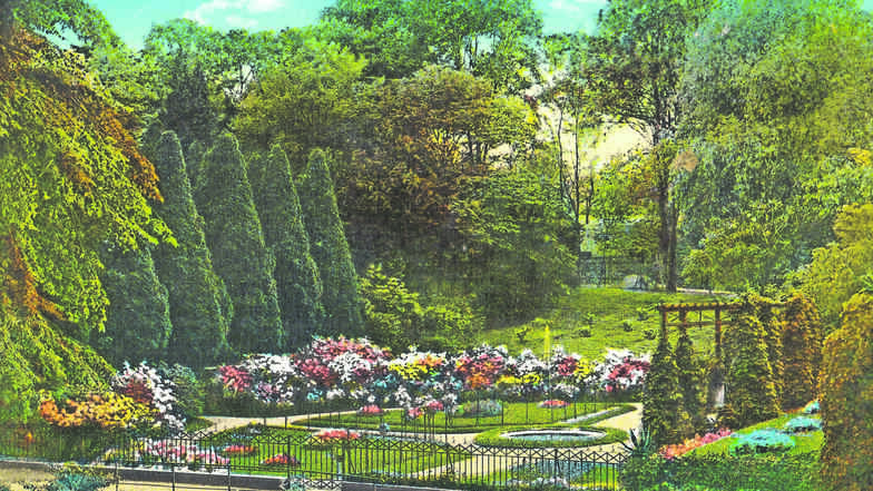 Diese historische Postkarte zeigt, was Siebeneichen einmal gewesen ist und wieder werden könnte– ein berückend schöner Landschaftspark im englischen Stil.