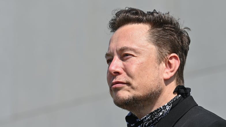 Tesla-Chef Elon Musk. Das Geschäft mit Lithium sei eine eine Goldgrube,