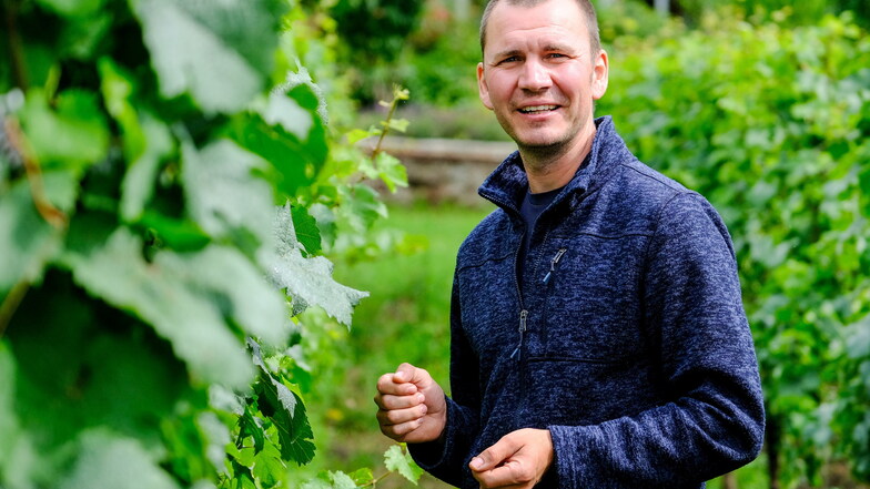 Felix Hößelbarth ist Leiter Weinbau der Radebeuler Hoflößnitz und im Ehrenamt für den Herkunftsschutz zuständig.