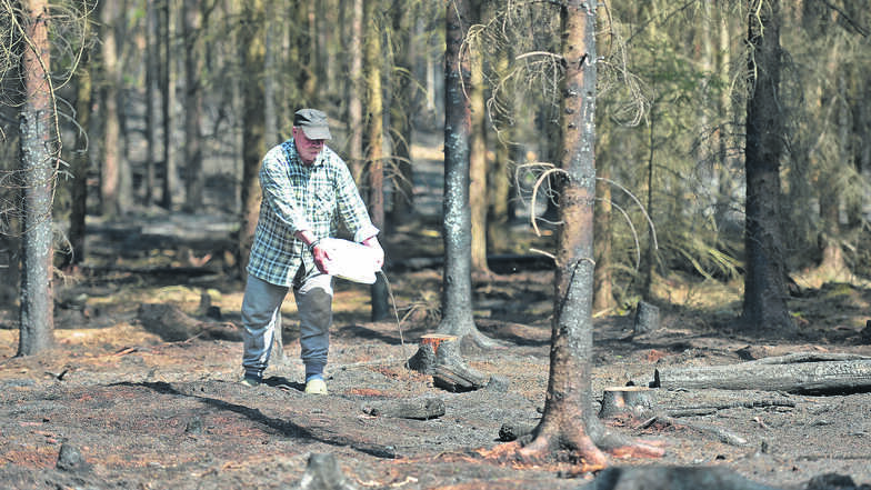 Wenig Wasser, viel Wirkung. Matthias Koitzsch ist am Mittwoch im verbrannten Wald nach dem Ortsausgang Weinböhla an der Forststraße/O-Weg unterwegs, um Glutnester abzulöschen.