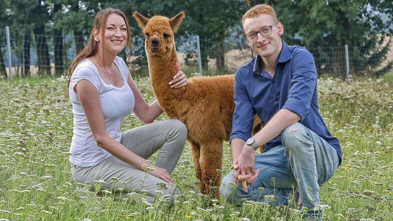 Linda und Leon Hanspach haben sich gemeinsam mit ihren Eltern in Altbernsdorf der Alpaka-Zucht verschrieben - und damit einen Trend gesetzt.