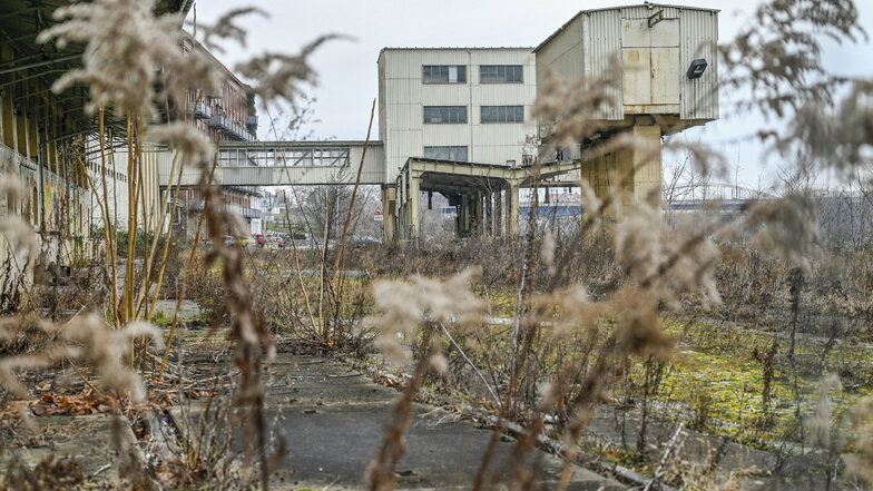 Blick auf das Muskatorgelände in Riesa. Der Stadtrat befasst sich demnächst erneut mit der Industriebrache.
