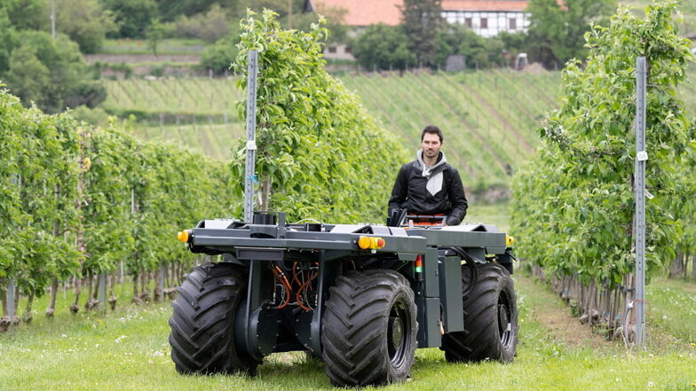Patrick Richter, wissenschaftlicher Mitarbeiter TU Dresden, steuert auf einem Versuchsfeld des Landesumweltamtes einen Roboter für Obst- und Weinbau durch eine Apfelplantage.