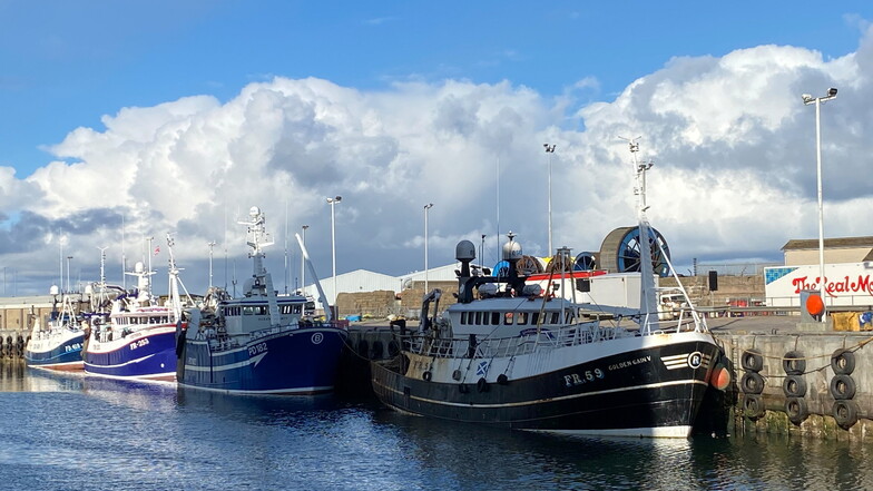 Brexit: Schottlands Fischer sind sauer