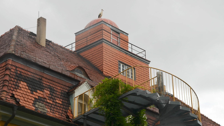 Der Storch kommt auf die Kuppel der ehemaligen Sternwarte täglich zu Besuch.