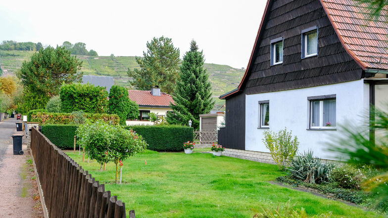 Wie eine ländliche Idylle zu Füßen der Weinberge muten die Wohnhäuser mit ihren großzügigen Gärten entlang der Schweizerstraße im Stadtteil Niederlößnitz an. Das viele Grün möchte die Lößnitzstadt bewahren.