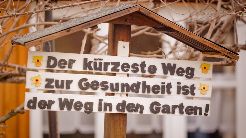 Die Weisheiten der Großeltern werden heute wiederentdeckt, so wie dieser Spruch in der Kleingartenanlage "Alte Elbe" in Dresden.