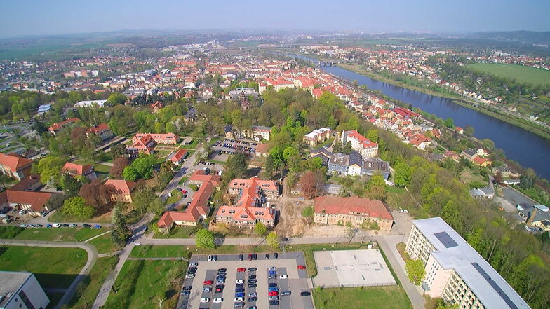Schlosspark Pirna mit der gleichnamigen Straße, die im Foto längs verläuft: Ein Fußweg ist nicht in Sicht.