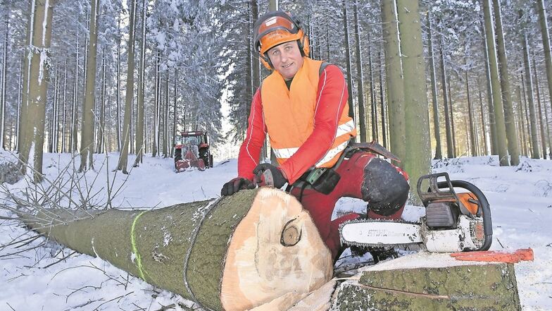 Ein gesuchter Mann: Gerd Zincke aus Hartmannsdorf ist Forstunternehmer und arbeitet vor allem in den Wäldern von Gemeinden und Privatleuten. Dürre, Käferfraß und Schneebruch, hier auf dem Röthenbacher Berg, haben ihn mit Arbeit eingedeckt.