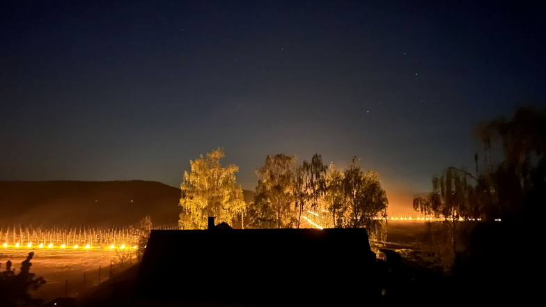 Nachts zu kalt: Wärmefeuer in den Weinbergen rund um Meißen angezündet