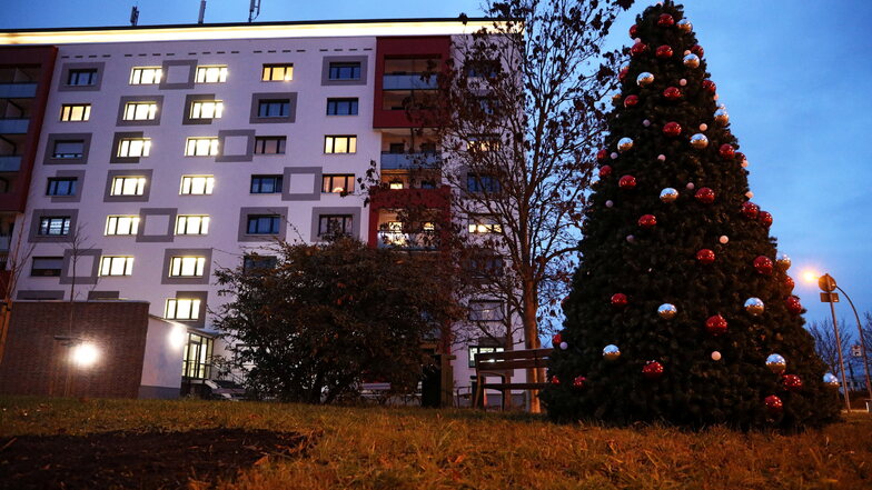 Da fehlt doch was: Zwei solcher Bäume hat die WGR Riesa an der Chemnitzer Straße aufgestellt. Und schon verschwanden LED-Lampen.