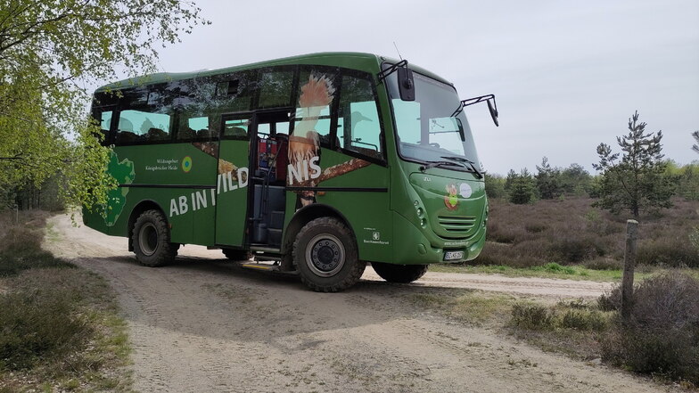 Mit diesem Bus geht es auf wilde Touren ins Naturschutzgebiet Königsbrücker Heide. Die Touren gibt es für Kinder und Erwachsene.